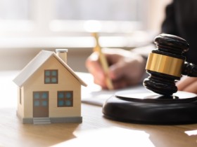 Intellectual Property Rights